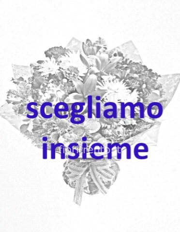 Omaggio da concordare a telefono al 3391114243