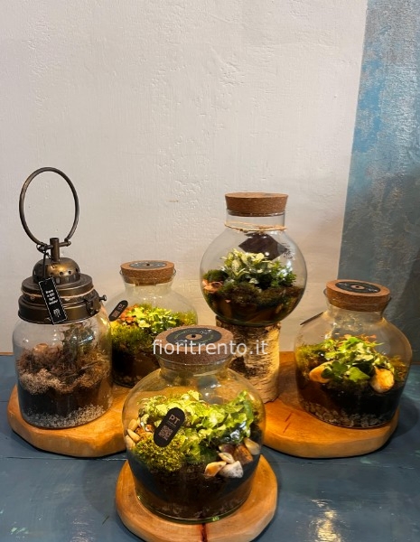 terrarium con luce a led
