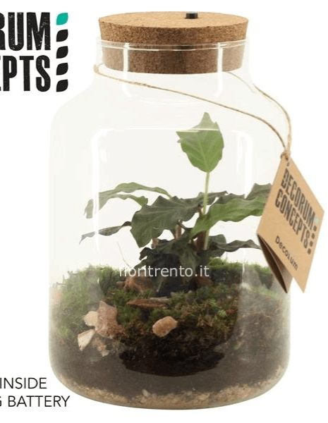 Terrarium Jupiter senza led