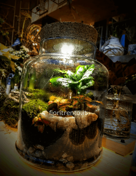 terrario steampunk  con luce led
