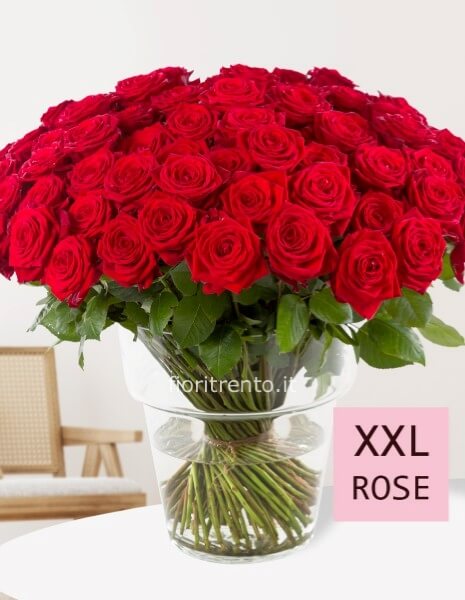 10 ROSE ROSSE 'RED NAOMI' 60cm - alla francese!