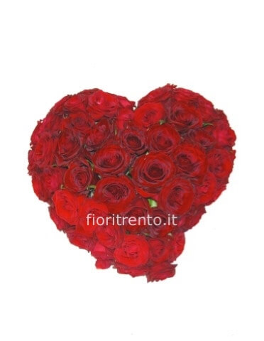 cuore rose rosse